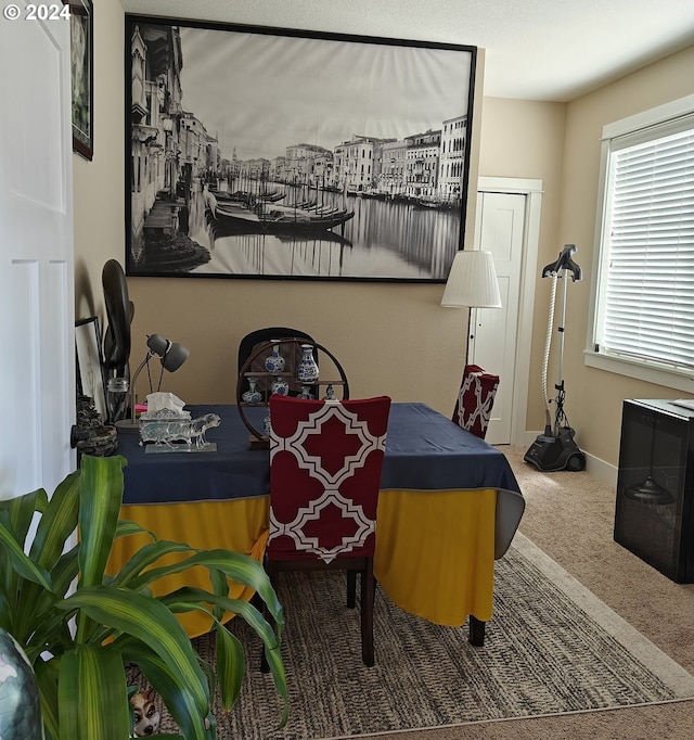 view of carpeted dining space