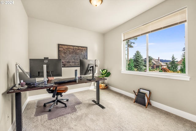 office featuring carpet floors