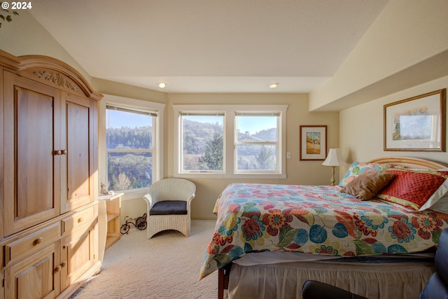 14115 N Bank Rd, Roseburg, OR 97470 - bedroom with light colored carpet and recessed lighting