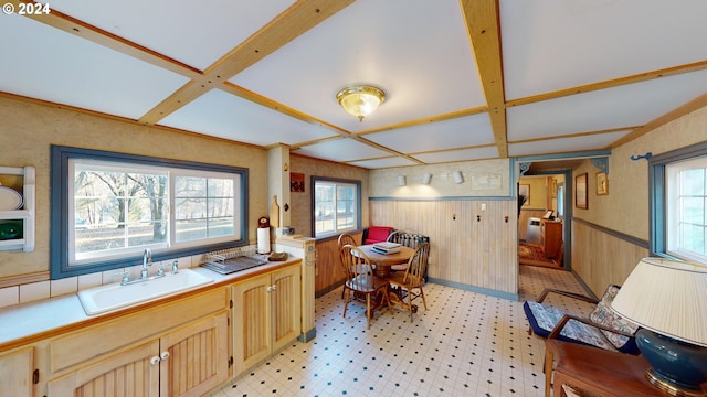 14115 N Bank Rd, Roseburg, OR 97470 - kitchen featuring a sink, coffered ceiling, light countertops, a wainscoted wall, and light floors