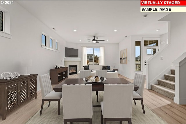 dining room with light hardwood / wood-style floors and ceiling fan