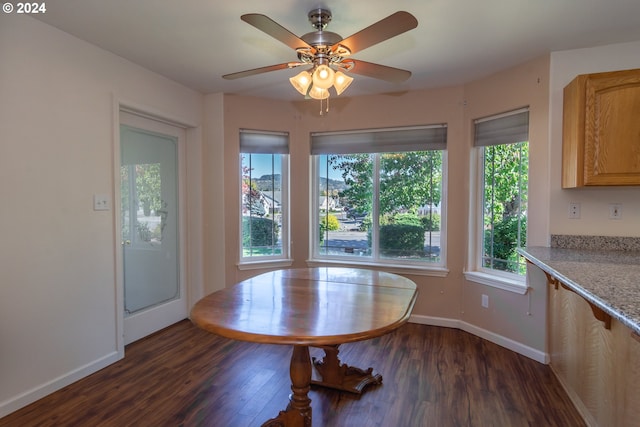 unfurnished dining area featuring a wealth of natural light, ceiling fan, and dark hardwood / wood-style flooring