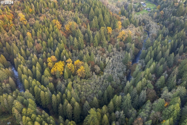 0 Cedar Creek Rd Unit 79, Woodland, WA 98674