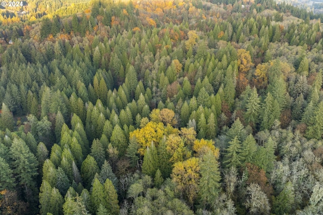 0 Cedar Creek Rd Unit 79, Woodland, WA 98674