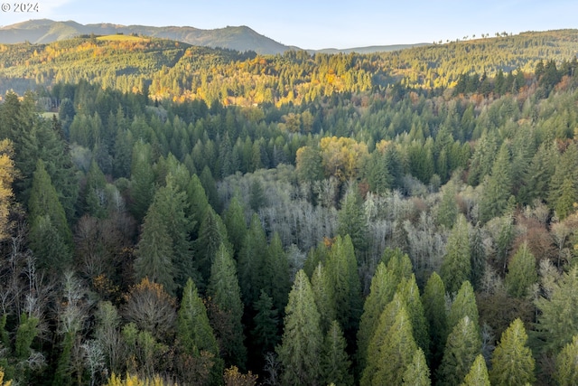 0 Cedar Creek Rd Unit 79, Woodland, WA 98674