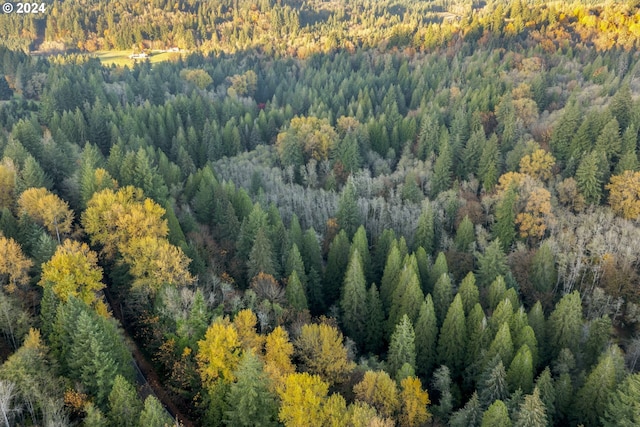 0 Cedar Creek Rd Unit 79, Woodland, WA 98674