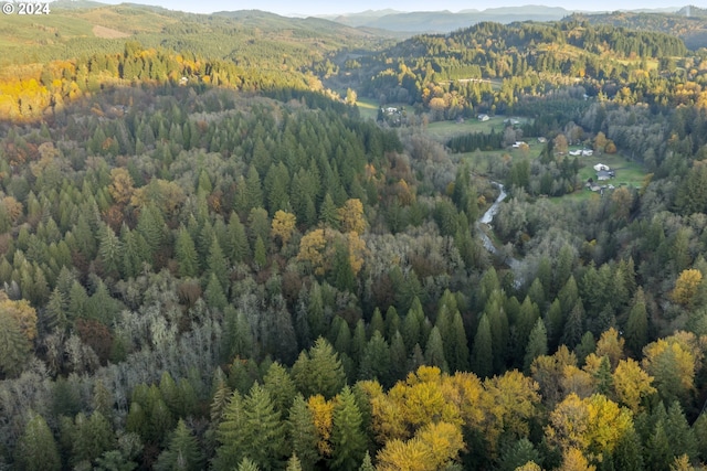 0 Cedar Creek Rd Unit 79, Woodland, WA 98674