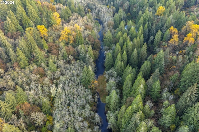 0 Cedar Creek Rd Unit 79, Woodland, WA 98674