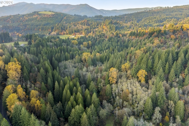 0 Cedar Creek Rd Unit 79, Woodland, WA 98674