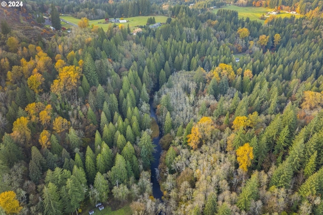 0 Cedar Creek Rd Unit 79, Woodland, WA 98674