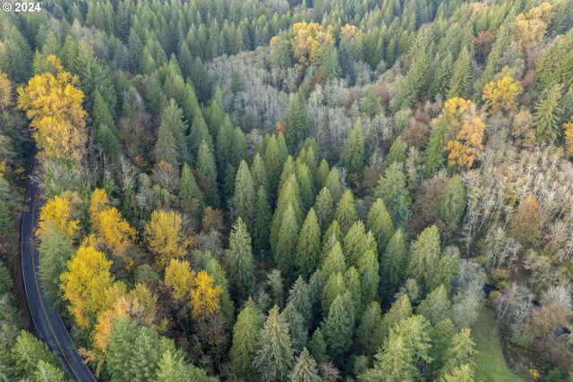 0 Cedar Creek Rd Unit 79, Woodland, WA 98674