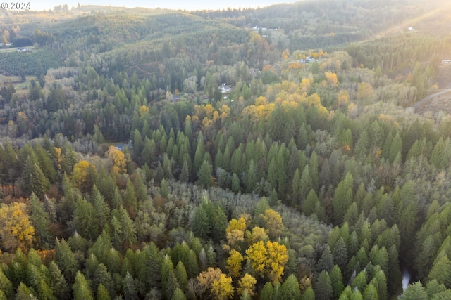 0 Cedar Creek Rd Unit 79, Woodland, WA 98674