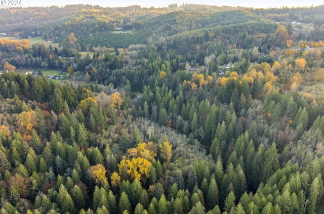 0 Cedar Creek Rd Unit 79, Woodland, WA 98674