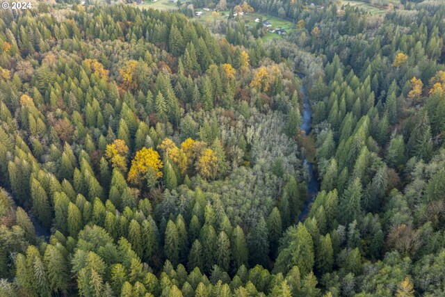 0 Cedar Creek Rd Unit 79, Woodland, WA 98674