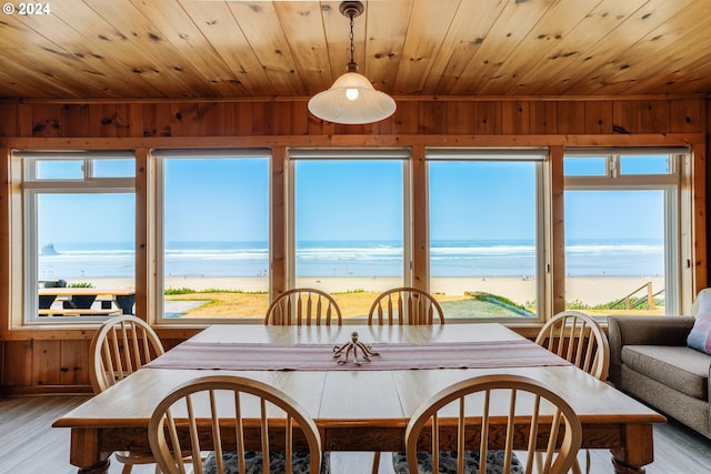 dining space featuring a wealth of natural light, light hardwood / wood-style flooring, and a water view