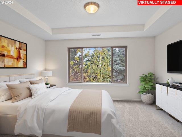 carpeted bedroom with a raised ceiling