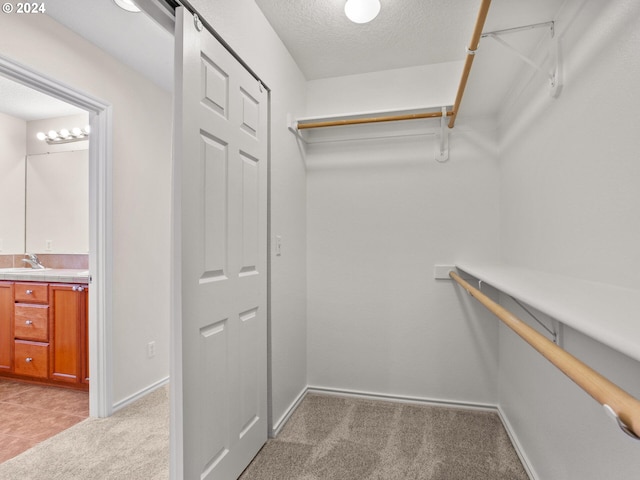 15771 SW Harvester Ln, Sherwood, OR 97140 - spacious closet with light carpet and a sink