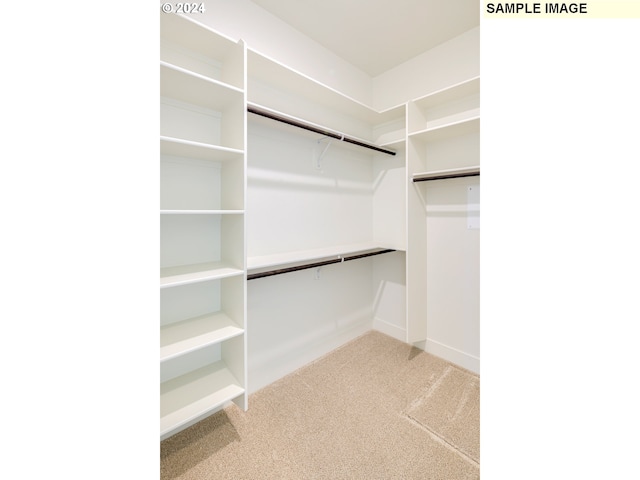 spacious closet featuring light carpet