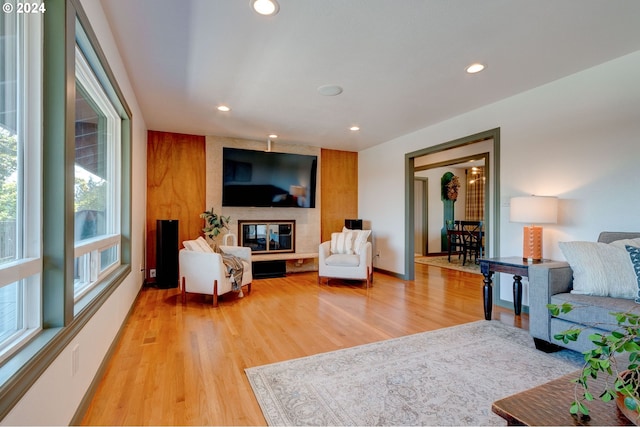 living room featuring a large fireplace and light wood-type flooring