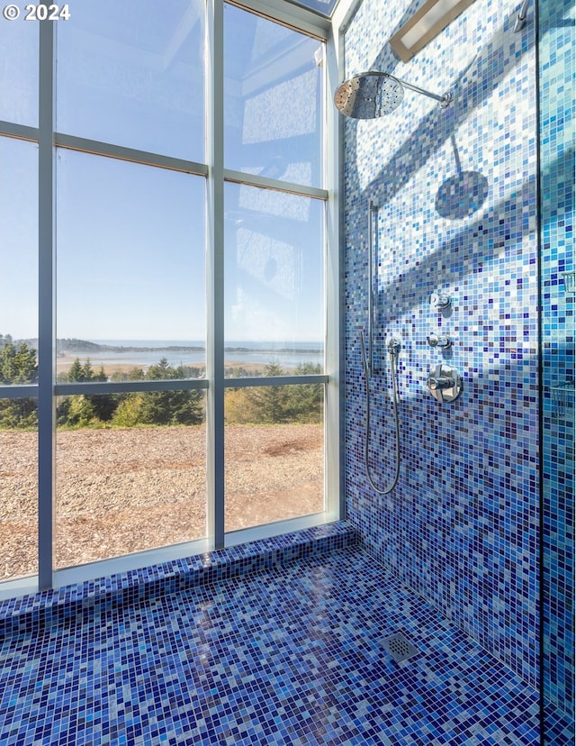 interior space with tiled shower