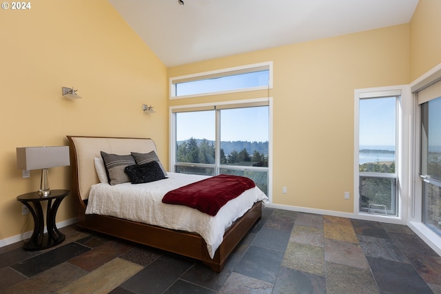 bedroom featuring high vaulted ceiling