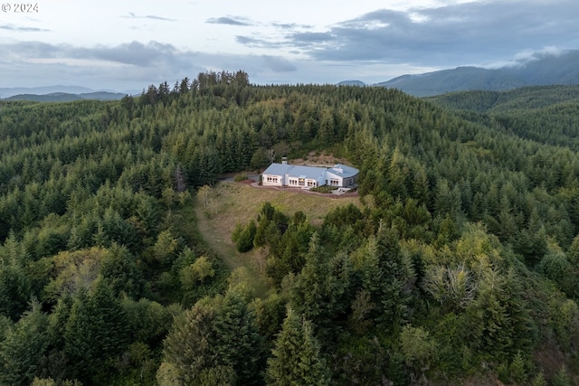 drone / aerial view featuring a mountain view