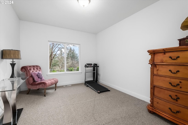 sitting room with carpet flooring