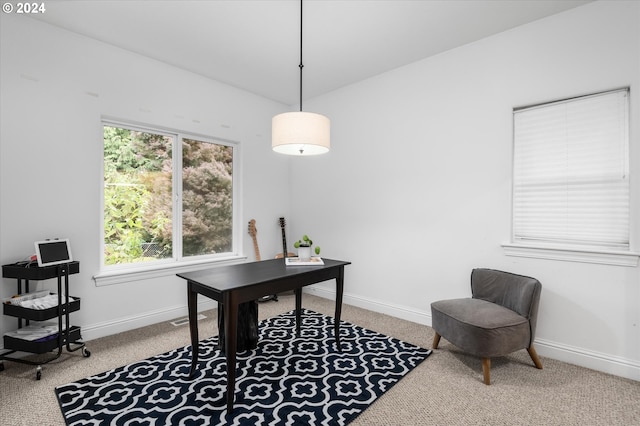 home office featuring carpet flooring and a wealth of natural light