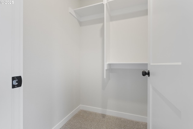 walk in closet featuring carpet flooring