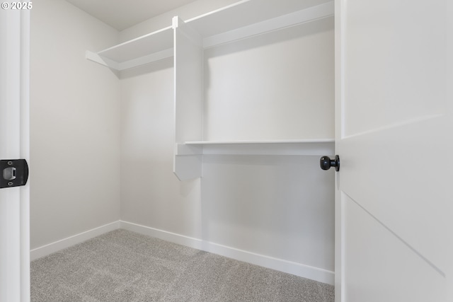 walk in closet with carpet floors