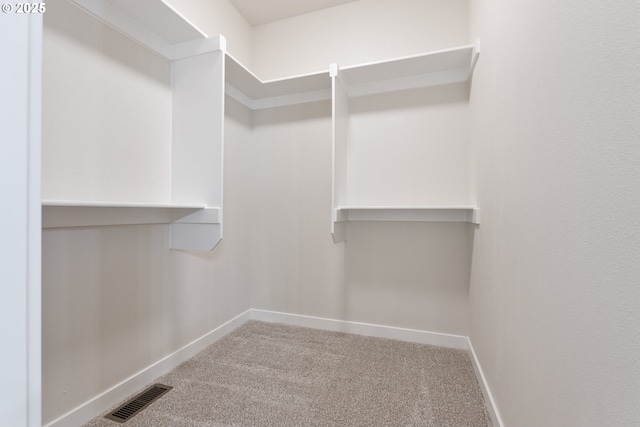 walk in closet featuring carpet flooring