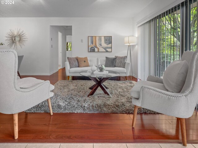 living room featuring light hardwood / wood-style flooring