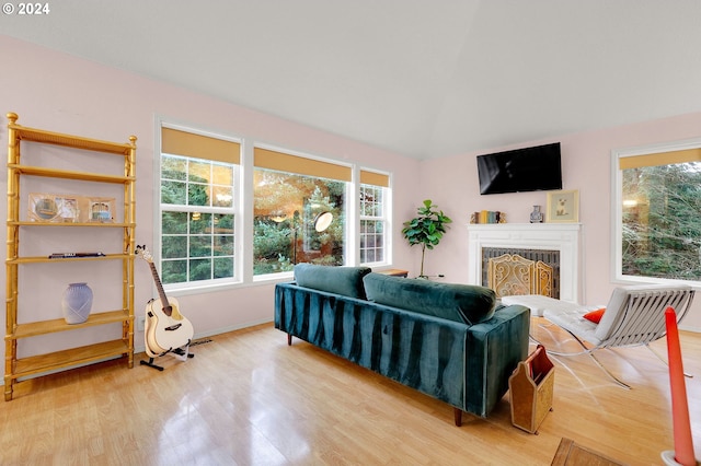 living room featuring hardwood / wood-style floors