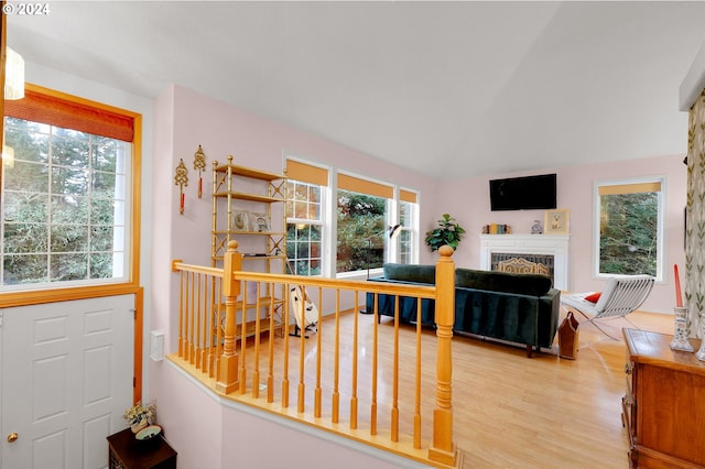 living room featuring light wood-type flooring and vaulted ceiling