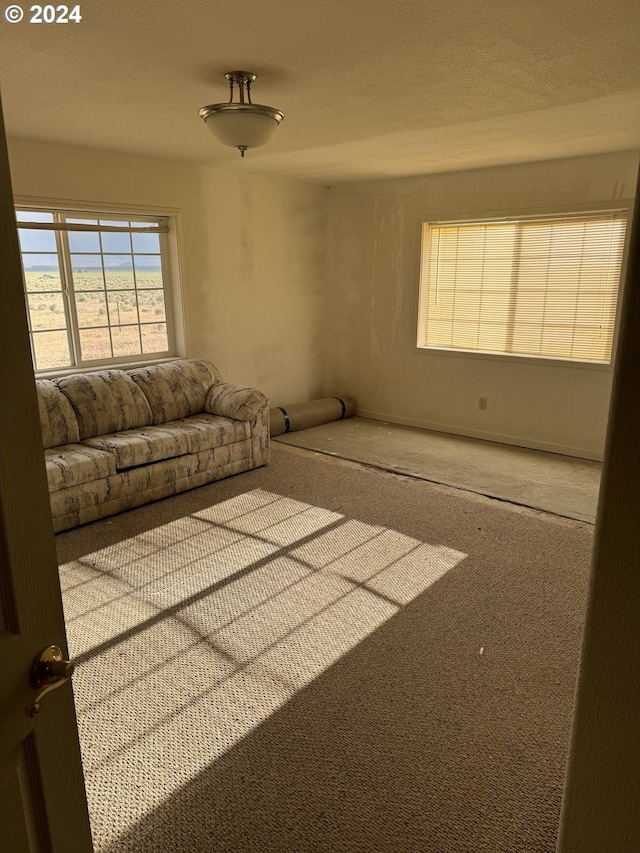 unfurnished living room featuring carpet flooring