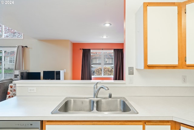 kitchen with dishwasher and sink