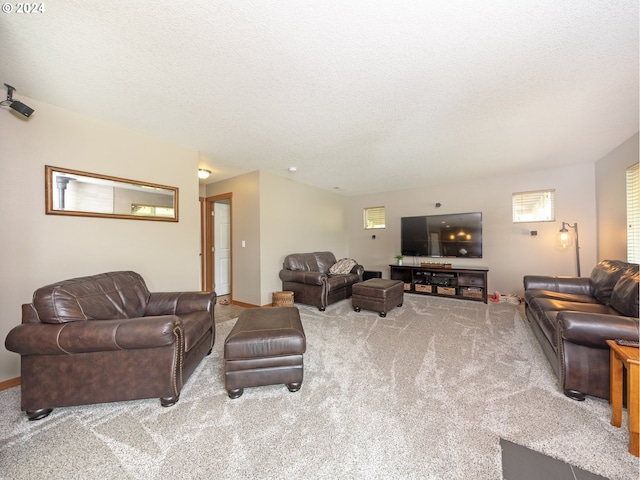 living room featuring carpet floors and a textured ceiling