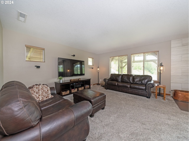 carpeted living room featuring a textured ceiling