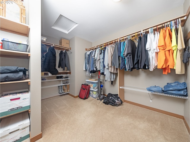 spacious closet with carpet floors