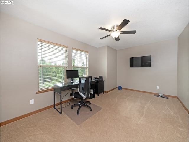 carpeted home office featuring ceiling fan and a textured ceiling