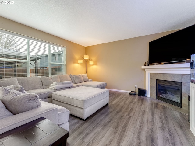 living room featuring a fireplace and hardwood / wood-style flooring