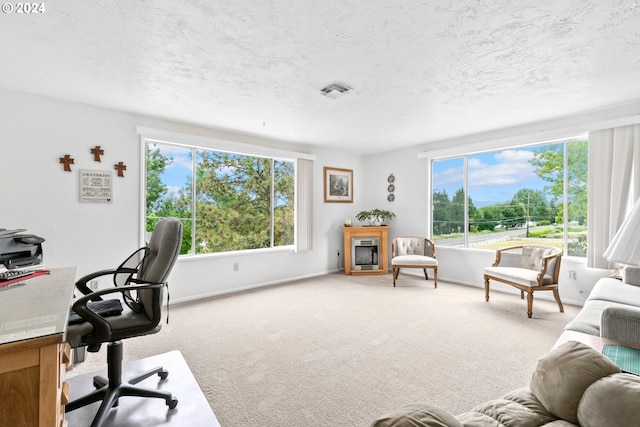 office area featuring baseboards, a textured ceiling, and carpet