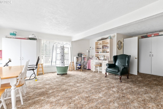 sitting room with carpet flooring and a textured ceiling