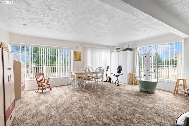 living area with carpet and a textured ceiling