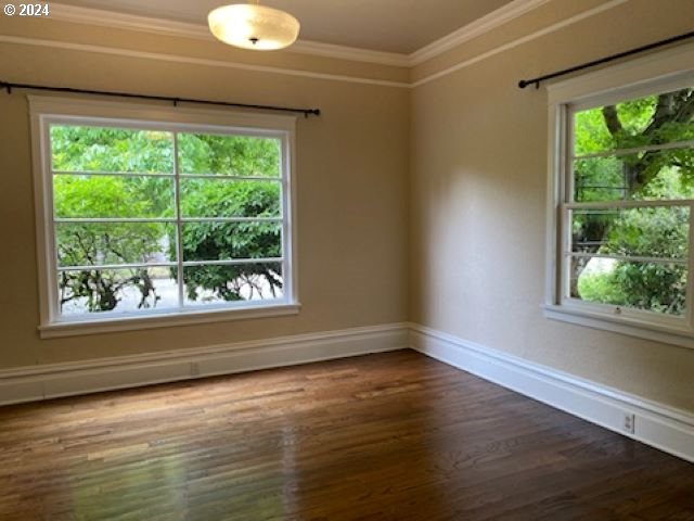 empty room with crown molding and dark wood-type flooring