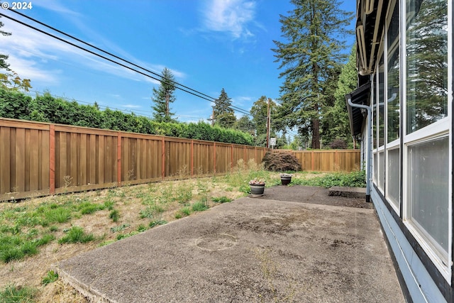 view of yard featuring a patio area