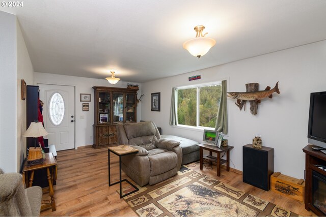 living room featuring light hardwood / wood-style floors