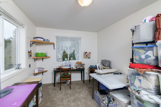 home office featuring carpet floors