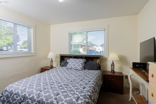 bedroom with dark colored carpet