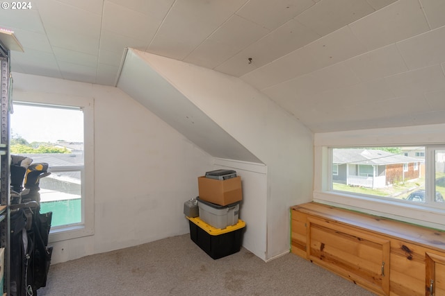 additional living space with light carpet, a healthy amount of sunlight, and vaulted ceiling